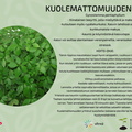Kuolemattomuuden yrtti