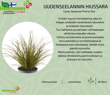 UUDENSEELANNIN HIUSSARA