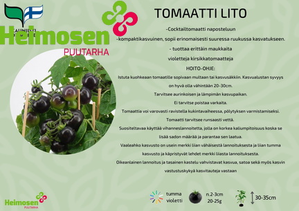 TOMAATTI LITO
