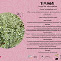 Timjami Sparkling