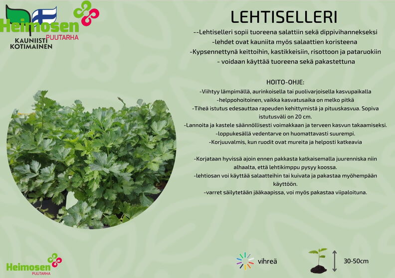 LEHTISELLERI.jpg
